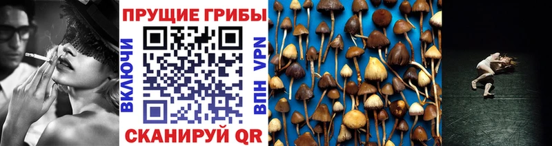 купить закладку Бугуруслан гидра сайт Галлюциногенные грибы мухоморы