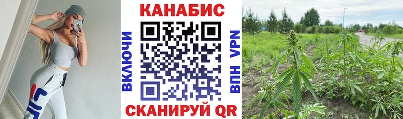 Конопля Amnesia Бугуруслан